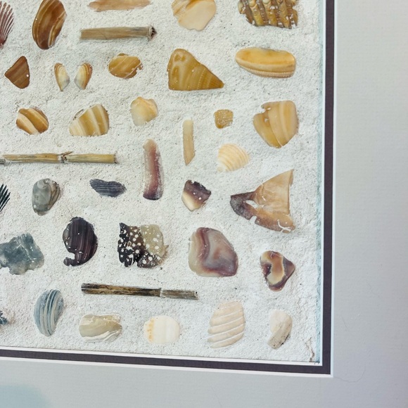 Coastal Eclectic Shell Wall Art, Outerbanks Seashells Beachy Home Decor Painting - Picture 5 of 6